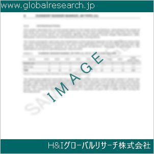 グローバルリサーチ調査資料のイメージ